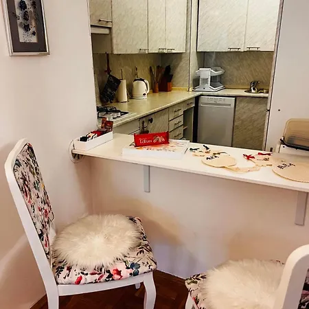 Alea Apartment&garage In The Heart Of 아파트 *